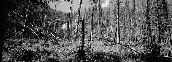 7551_FM_BW_XPAND_AZ_01_3.jpg