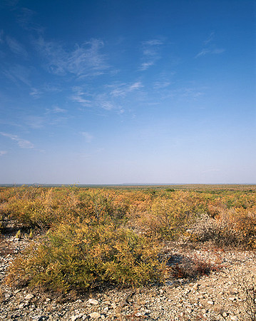 4000_20080719_ADS_Mexican_Landscape_Mexico_160