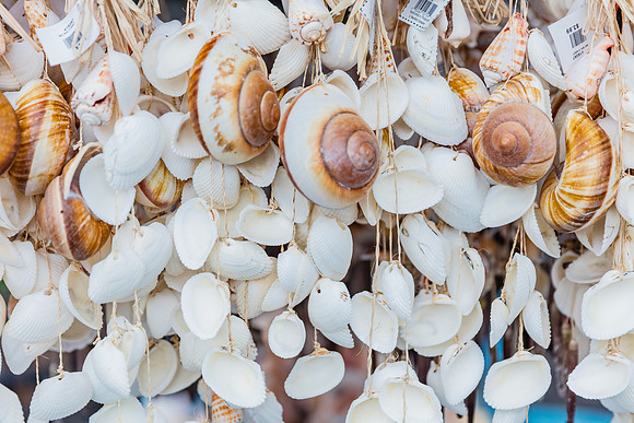 20160714_Key_West_75A0550