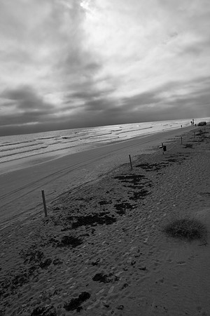 0040_PANAMA_BEACH_TO_DAYTONA_MIAMI_5L8Y1538