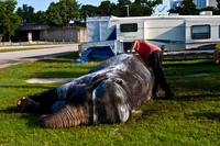 42588_Circus_Miami__Park__IMG_6379