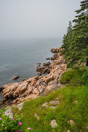 20060627_Maine_ZV4N0972