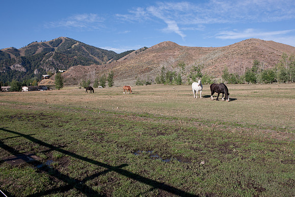 0021_Wyonming_To_Ketchem_Sun_Valley_ID_5L8Y70021_995