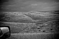0044_North_Dacota_Fargo_to_South_Rapid_City_TO_CHEYENNE_5L8Y4247