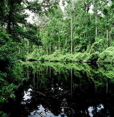 7820_FILM_COLOR_LR_STONINGTON_USA_CT_8.jpg