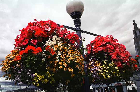 2546_SL_BOX_I_COLOR_OVKA_VICTORIA_CANADA_3