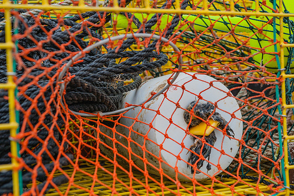 20060627_Maine_ZV4N0924
