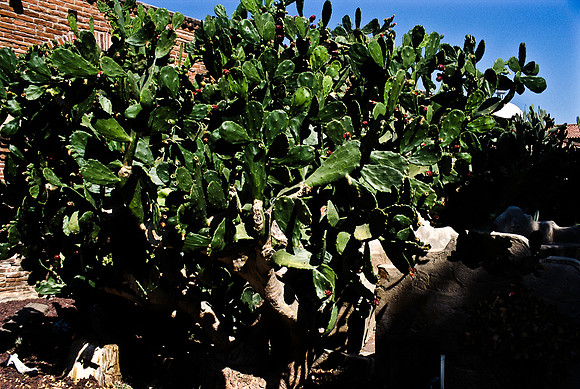 47922_B17_SL_COLOR_CAPISTANO_TO_SANTA_BARBARA_CA_97_04.jpg