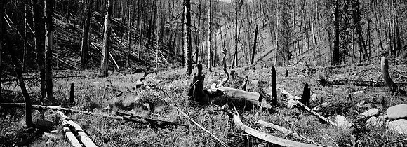 7551_FM_BW_XPAND_AZ_01_4.jpg