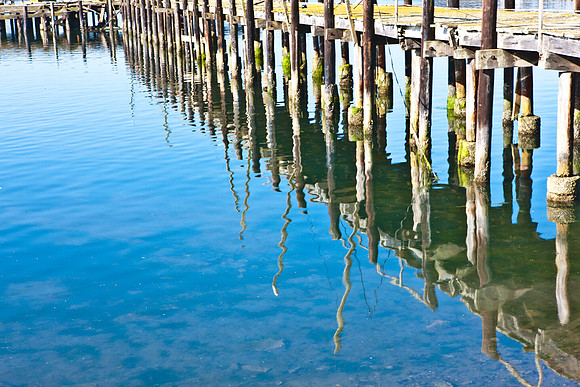 0026_DG_Botega_Bay_CA_USA_2009_5L8Y1625