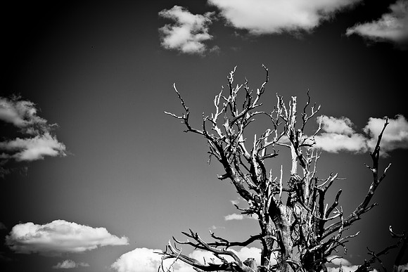 0020_Wyonming_To_Ketchem_Sun_Valley_ID_5L8Y7787