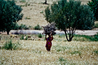 2626_FM_COLOR_35MM_COLOR_EK_MAROCCO_10