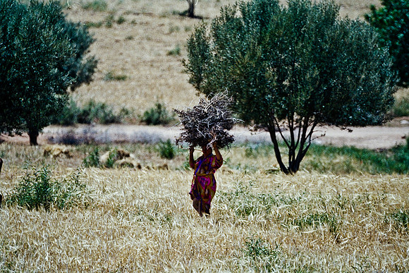 2626_FM_COLOR_35MM_COLOR_EK_MAROCCO_10