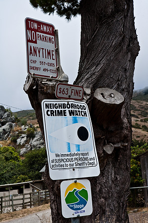 06583_ZV4N_3739_DG_COLOR_HWY_1_MILES_AFTER_NICKS_COVE_CALIFORNIA_CA_USA_2007_