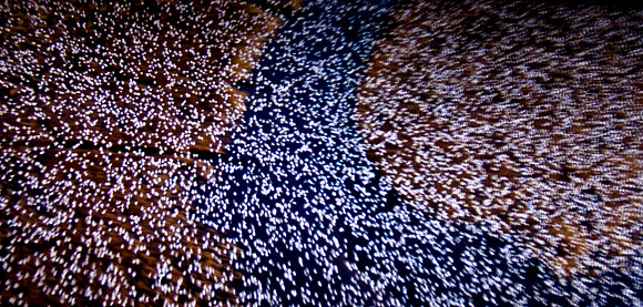 2905_DG_Lincoln_Road_Mouvie_Earth_Maimi_Beach_FL20090426-5L8Y6924