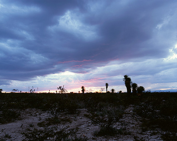 4000_20080719_ADS_Mexican_Landscape_Mexico_188