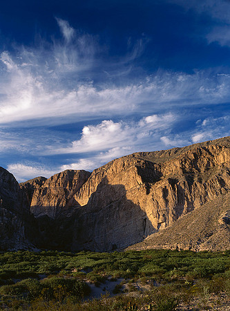 P099