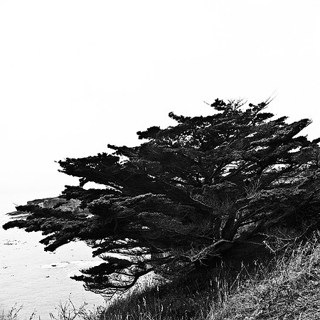 6040_FM_BW_BODEGA_BAY_CA_05_8.jpg
