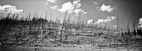 7551_FM_BW_XPAND_AZ_01_11.jpg