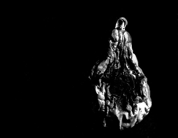 42454_FM_4X5_BW_SQUASH_SHELLS_FL_04_04.jpg