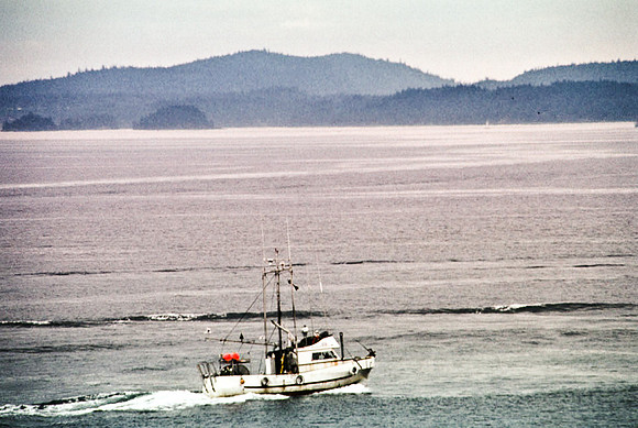 2547_SL_BOX_I_COLOR_OVKA_VICTORIA_CANADA_9