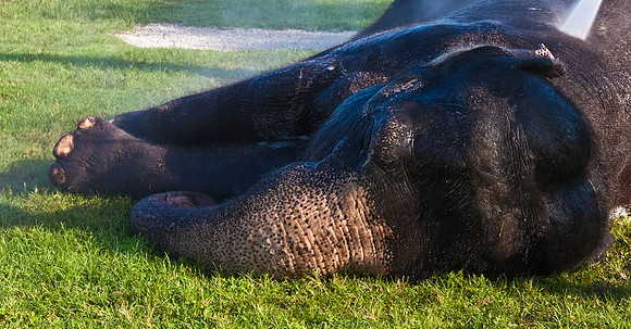 42588_Circus_Miami__Park__IMG_6404