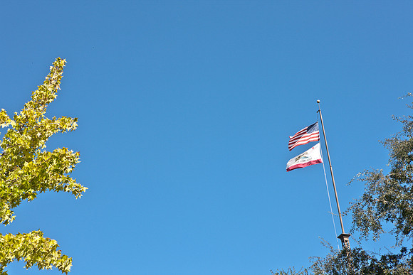 0024_DG_Napa_CA_USA_20095L8Y0177