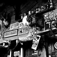 6161_FM_BW_ST_GEORGIA_ISLAND_FL_05_2.jpg
