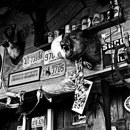 6161_FM_BW_ST_GEORGIA_ISLAND_FL_05_2.jpg