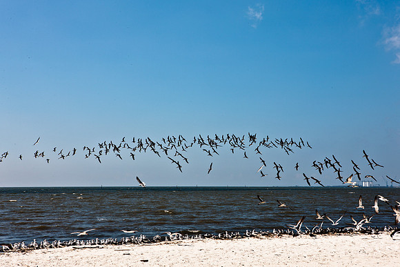 0036-NEW_ORLEANS_TO_PANAMA_CITY_BEACH_5L8Y1142