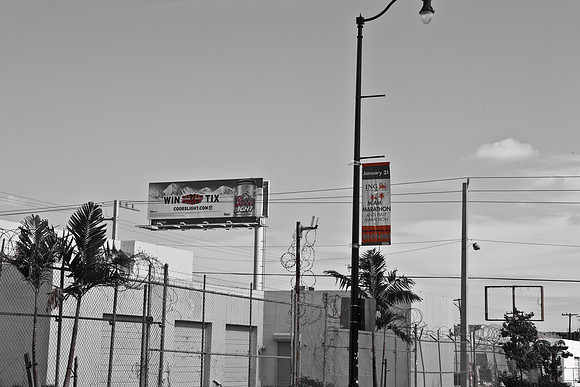 3129_DG_Wynwood_36_Street_West_Miami_FL_5L8Y2179