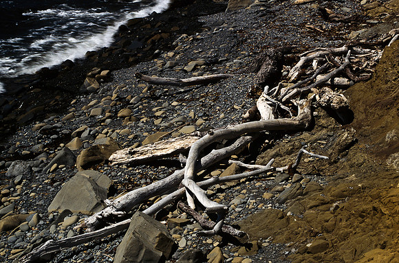 47935_B17_SL_COLOR_COAST_SAN_SIMEON_AND_UP_CA_97_18.jpg