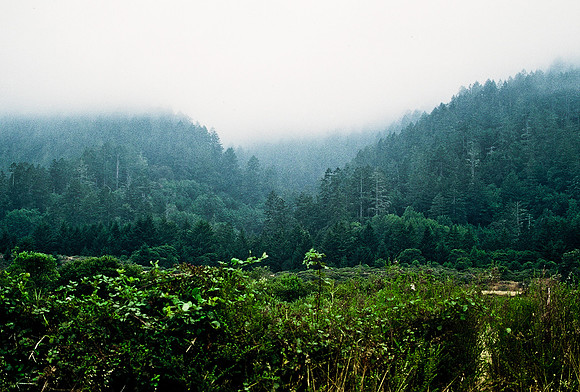 47390_B3_SL_COLOR_SURROUNDINGS_NE_97_08.jpg