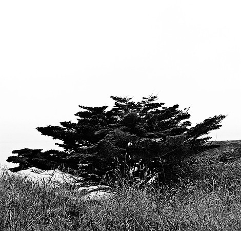 6040_FM_BW_BODEGA_BAY_CA_05_6.jpg