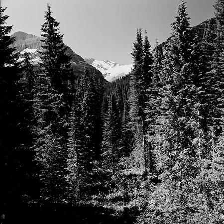 36097_6_03_COLOR_SQ_Glasier_MONTANA_03_COLOR_SQ_Glasier_MONTANA_03_09.jpg