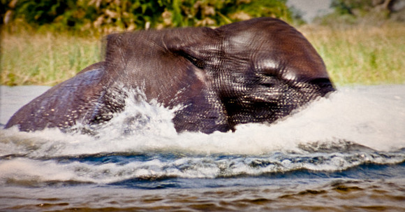 2905_DG_Lincoln_Road_Mouvie_Earth_Maimi_Beach_FL20090426-5L8Y6915