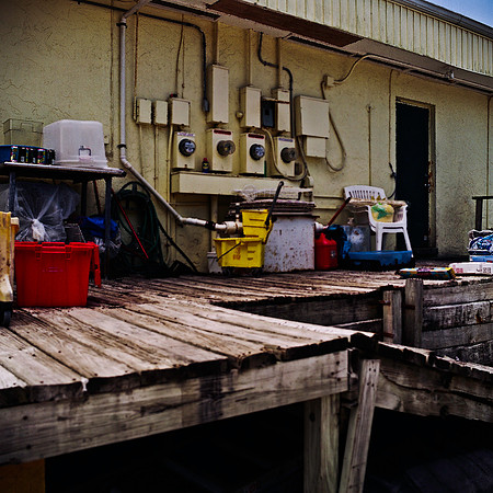 6006_FM_COLOR_AK_05_5.jpg