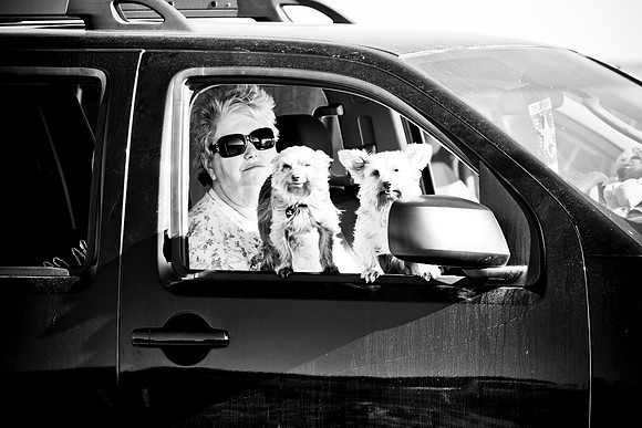 0028_Frisco_To_LA_5L8Y1944