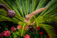20060702_South_Carolina_ZV4N276