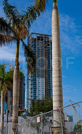 84691_2008_DG_Color_USA_Miami_FL_ZV4N1909