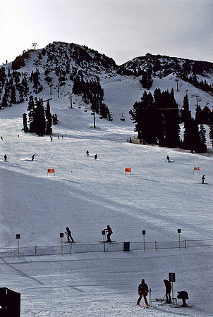 47943_B17_SL_COLOR_MAMOTA_YOSEMITE_CA_97_12.jpg
