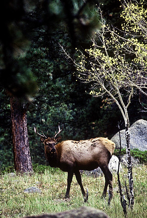 47499_B7_SL_COLOR_HOT_SULPHUR_SPRINGS_HWY40_CO_97_05.jpg