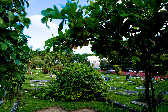36291_DG_Color_West_Indies_Harbour_Island_BahamasZV4N2207