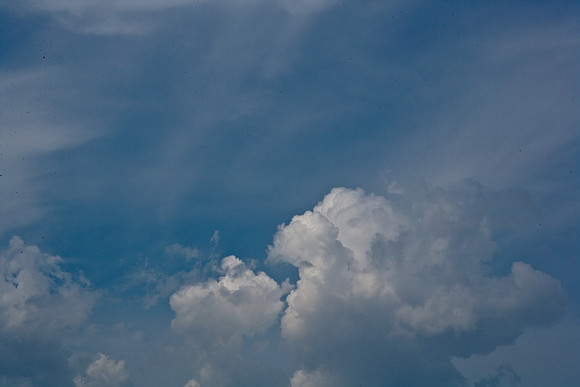 85503_ZV4N0681