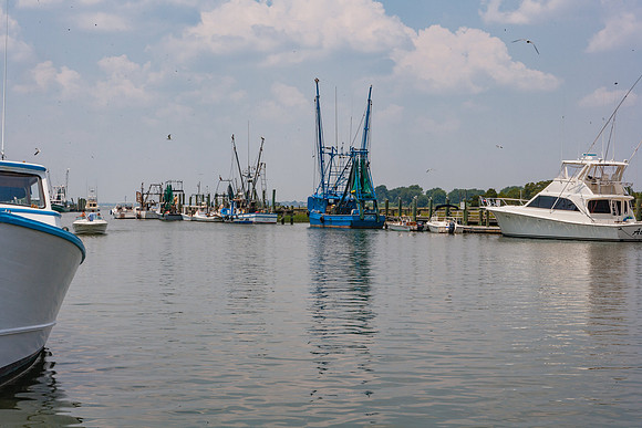 20060702_South_Carolina_ZV4N272