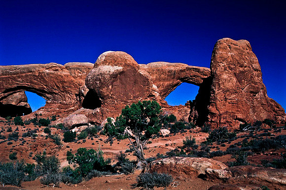 06774_B10_SL_COLOR_SL_COLOR_NORTH&SOUTH_WINDOWS_ARCHES_NAT_PARK_UT_97_1616.jpg