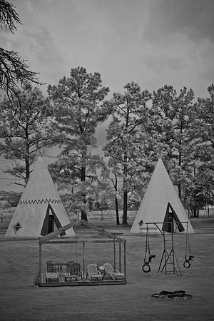 0043_NASHVILLE_TO_CHICAGO_USA_2009_5L8Y0120-2