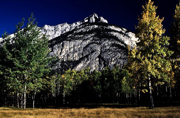 06825_B19_SL_COLOR_BISON_NAT_PARK_LAKE_LOUIS_VILLAGE_WS_97_05.jpg