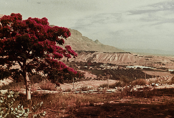 47367_B3_SL_COLOR_SURROUNDINGS_NE_97_16.jpg