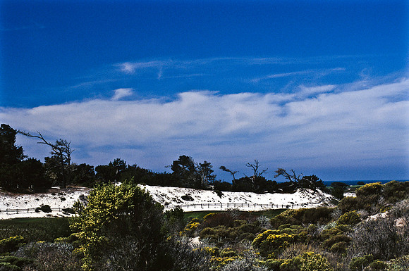 47938_B17_SL_COLOR_17M_DRIVE_CA_97_ CARMEL_CA_97_13.jpg